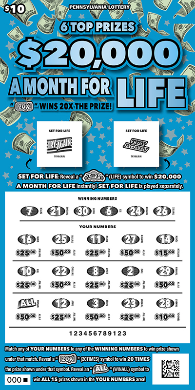 $20,000 a Month for Life