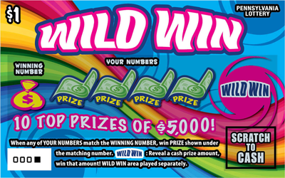 Wild Win ticket
